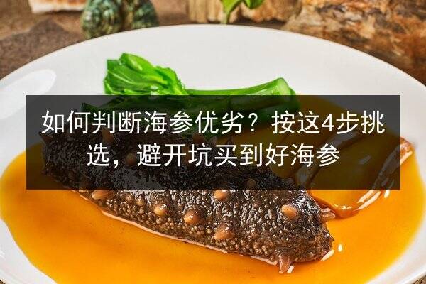 如何判断海参优劣?按这4步挑选,避开坑买到好海参
