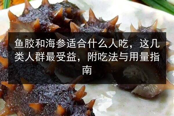 鱼胶和海参适合什么人吃,这几类人群最受益,附吃法与用量指南