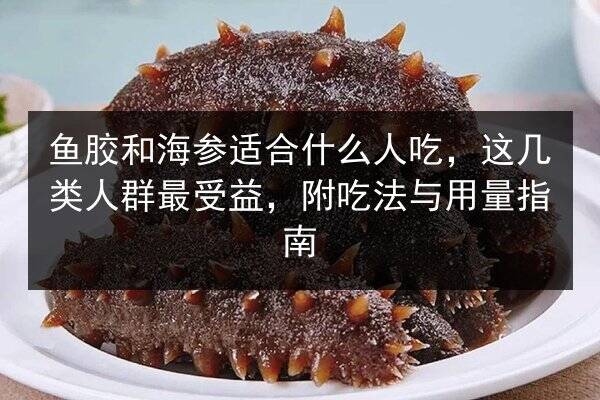 鱼胶和海参适合什么人吃,这几类人群最受益,附吃法与用量指南