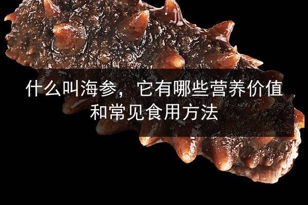 什么叫海参，它有哪些营养价值和常见食用方法