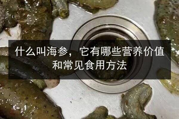 什么叫海参，它有哪些营养价值和常见食用方法