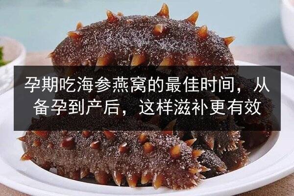 孕期吃海参燕窝的最佳时间,从备孕到产后,这样滋补更有效