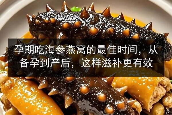 孕期吃海参燕窝的最佳时间,从备孕到产后,这样滋补更有效