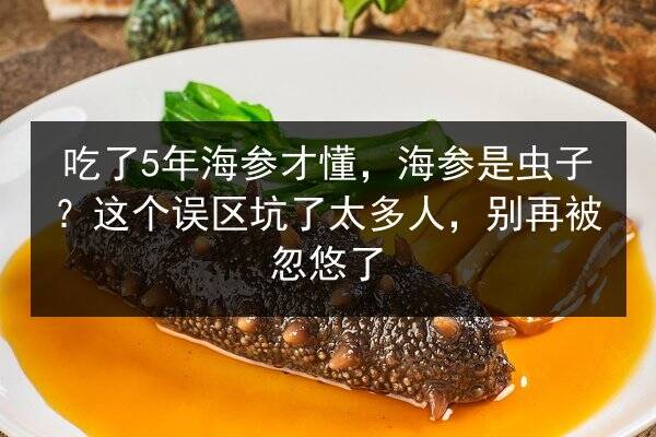 吃了5年海参才懂,海参是虫子?这个误区坑了太多人,别再被忽悠了