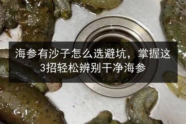 海参有沙子怎么选避坑,掌握这3招轻松辨别干净海参