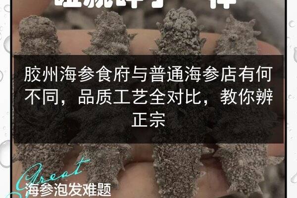 胶州海参食府与普通海参店有何不同,品质工艺全对比,教你辨正宗