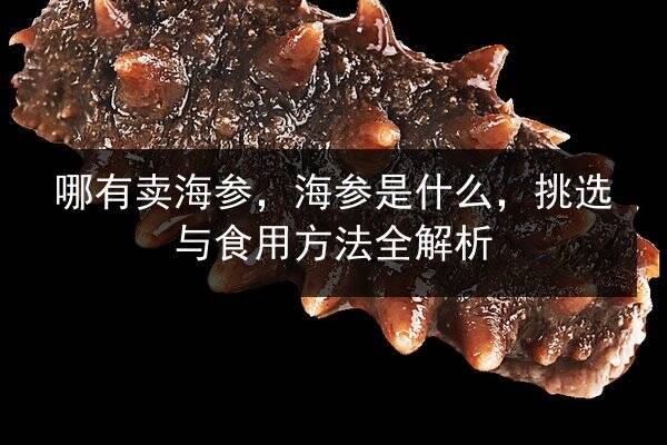 哪有卖海参，海参是什么，挑选与食用方法全解析