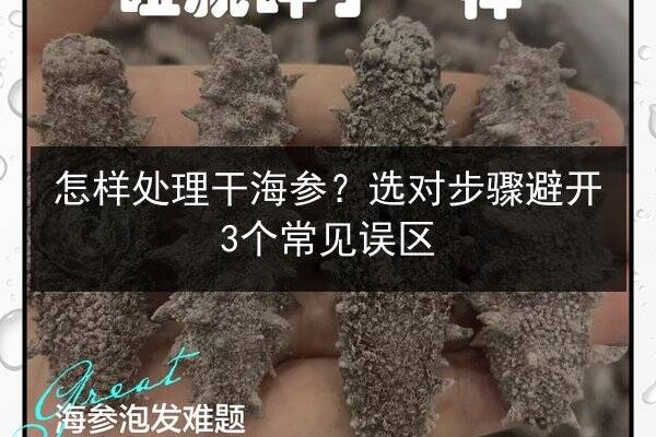 怎样处理干海参?选对步骤避开3个常见误区