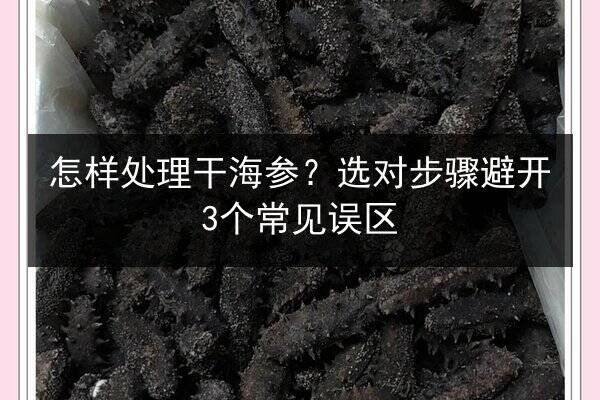怎样处理干海参?选对步骤避开3个常见误区