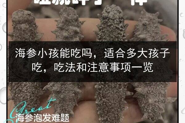 海参小孩能吃吗,适合多大孩子吃,吃法和注意事项一览
