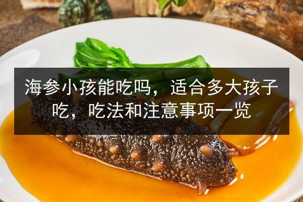 海参小孩能吃吗,适合多大孩子吃,吃法和注意事项一览