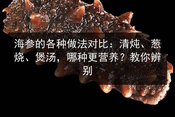 海参的各种做法对比:清炖、葱烧、煲汤,哪种更营养?教你辨别