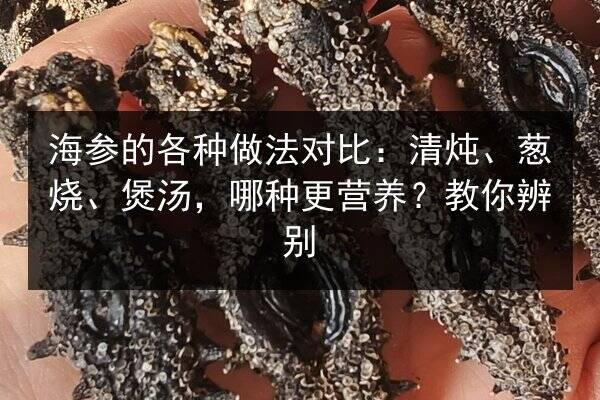 海参的各种做法对比:清炖、葱烧、煲汤,哪种更营养?教你辨别