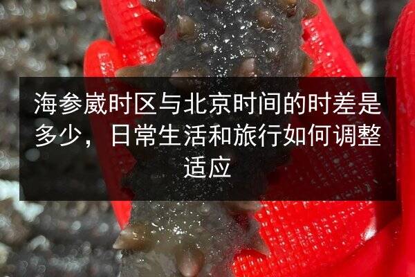 海参崴时区与北京时间的时差是多少,日常生活和旅行如何调整适应