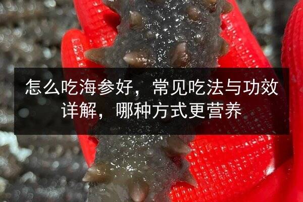 怎么吃海参好,常见吃法与功效详解,哪种方式更营养