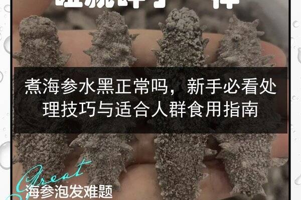 煮海参水黑正常吗,新手必看处理技巧与适合人群食用指南