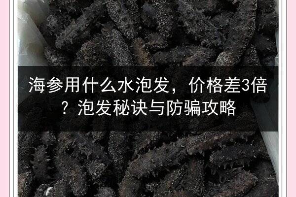 海参用什么水泡发,价格差3倍?泡发秘诀与防骗攻略