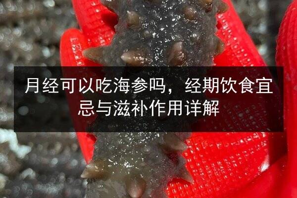 月经可以吃海参吗,经期饮食宜忌与滋补作用详解