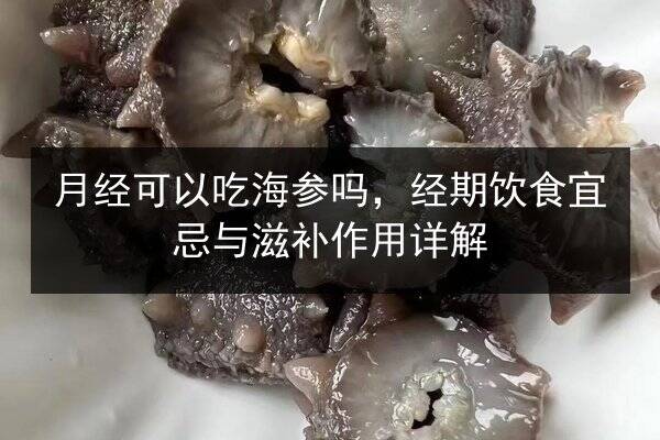 月经可以吃海参吗,经期饮食宜忌与滋补作用详解