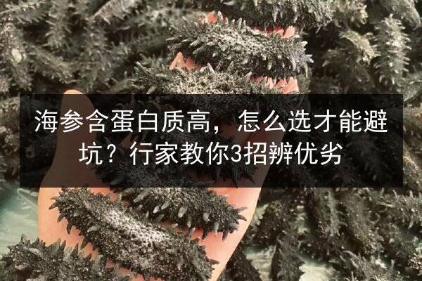 海参含蛋白质高,怎么选才能避坑?行家教你3招辨优劣