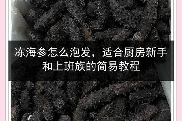 冻海参怎么泡发,适合厨房新手和上班族的简易教程