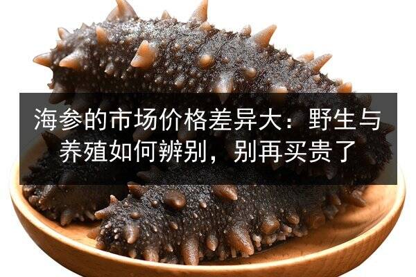 海参的市场价格差异大：野生与养殖如何辨别，别再买贵了