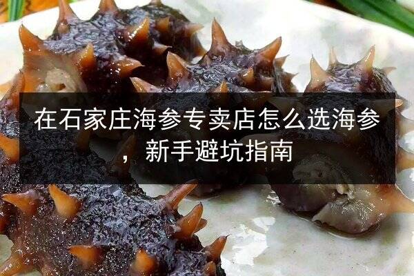 在石家庄海参专卖店怎么选海参，新手避坑指南