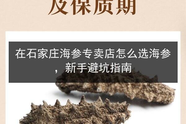 在石家庄海参专卖店怎么选海参，新手避坑指南