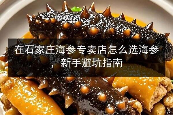 在石家庄海参专卖店怎么选海参，新手避坑指南