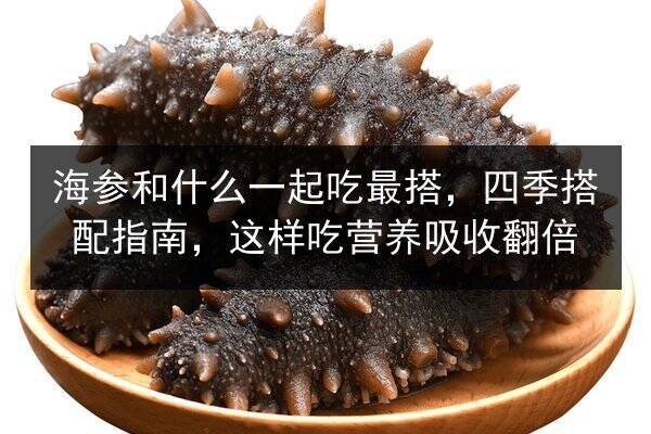 海参和什么一起吃最搭,四季搭配指南,这样吃营养吸收翻倍
