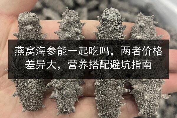 燕窝海参能一起吃吗,两者价格差异大,营养搭配避坑指南