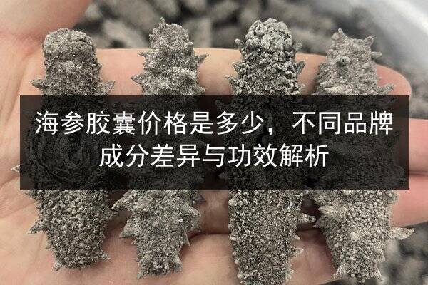海参胶囊价格是多少,不同品牌成分差异与功效解析