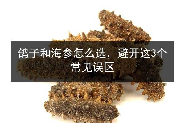 鸽子和海参怎么选，避开这3个常见误区