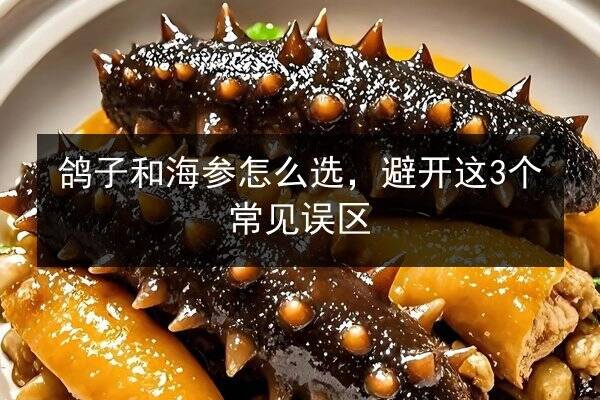 鸽子和海参怎么选，避开这3个常见误区