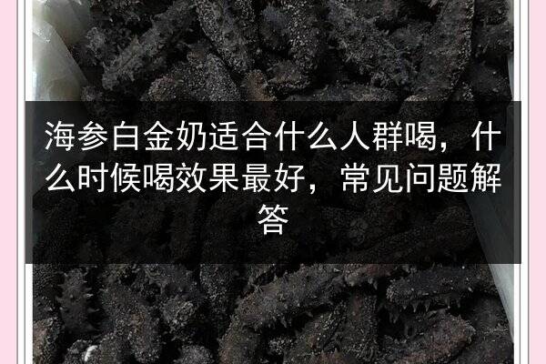 海参白金奶适合什么人群喝，什么时候喝效果最好，常见问题解答