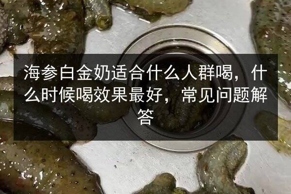 海参白金奶适合什么人群喝，什么时候喝效果最好，常见问题解答