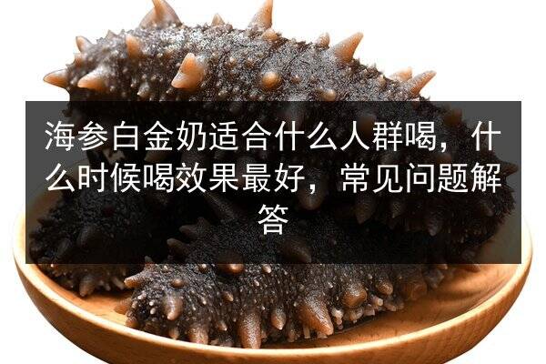 海参白金奶适合什么人群喝，什么时候喝效果最好，常见问题解答