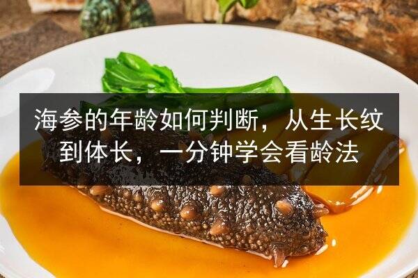 海参的年龄如何判断,从生长纹到体长,一分钟学会看龄法