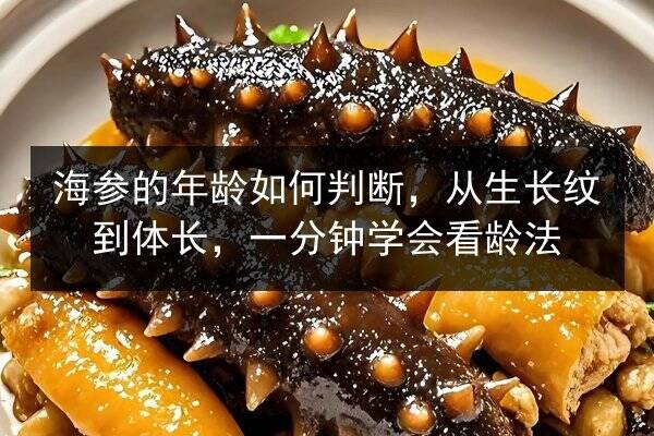 海参的年龄如何判断,从生长纹到体长,一分钟学会看龄法