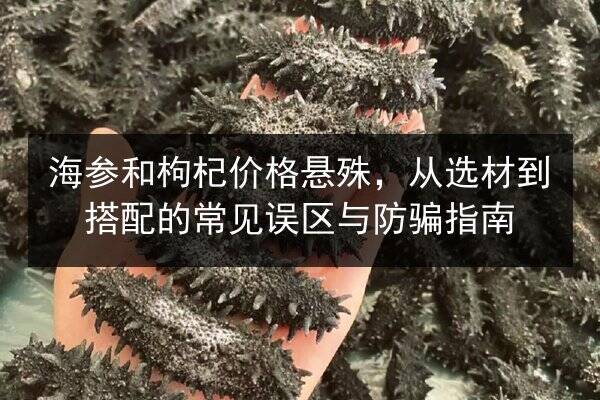 海参和枸杞价格悬殊,从选材到搭配的常见误区与防骗指南