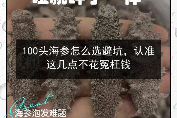 100头海参怎么选避坑,认准这几点不花冤枉钱