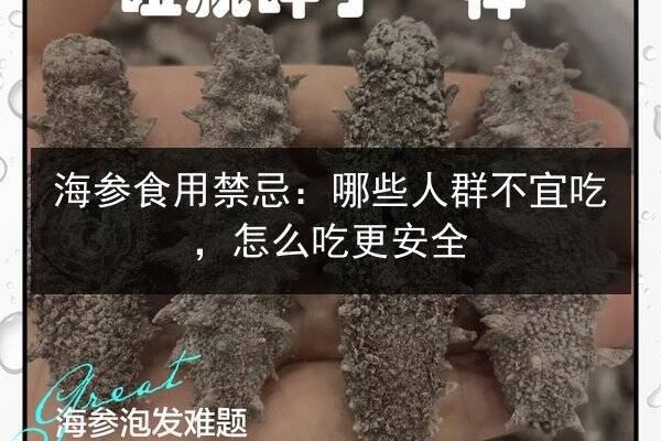 海参食用禁忌：哪些人群不宜吃，怎么吃更安全