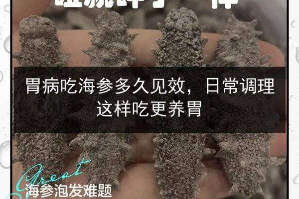胃病吃海参多久见效，日常调理这样吃更养胃