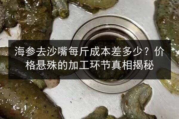 海参去沙嘴每斤成本差多少?价格悬殊的加工环节真相揭秘