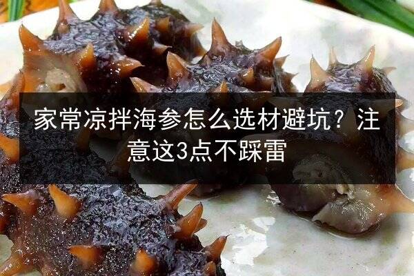 家常凉拌海参怎么选材避坑？注意这3点不踩雷