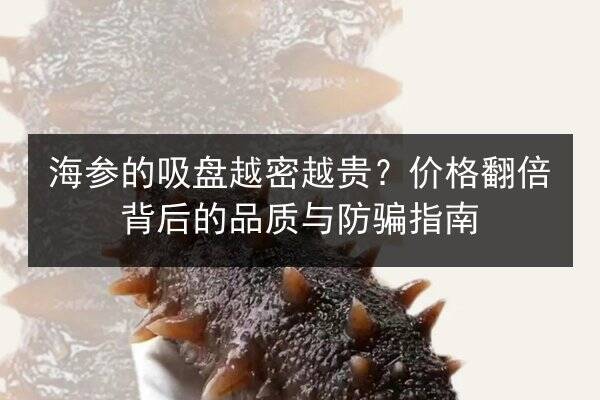 海参的吸盘越密越贵?价格翻倍背后的品质与防骗指南