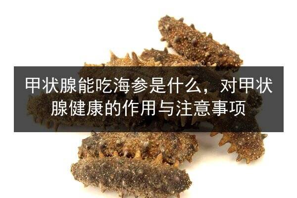 甲状腺能吃海参是什么,对甲状腺健康的作用与注意事项