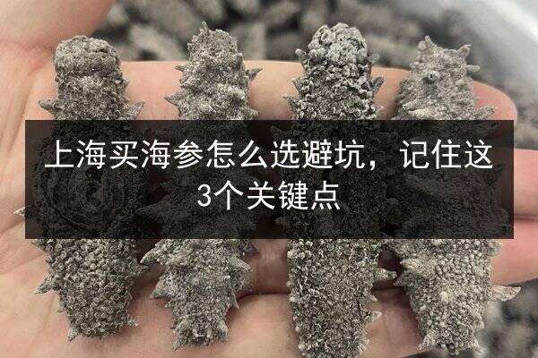 上海买海参怎么选避坑，记住这3个关键点