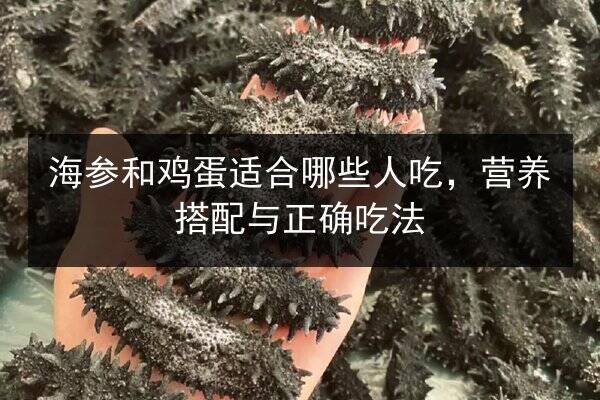 海参和鸡蛋适合哪些人吃,营养搭配与正确吃法