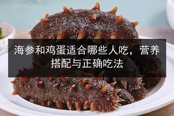 海参和鸡蛋适合哪些人吃,营养搭配与正确吃法